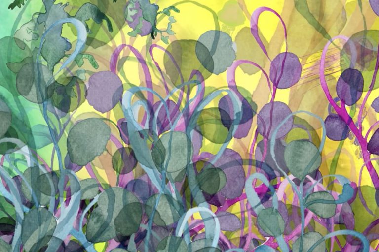 animation_for_health_02