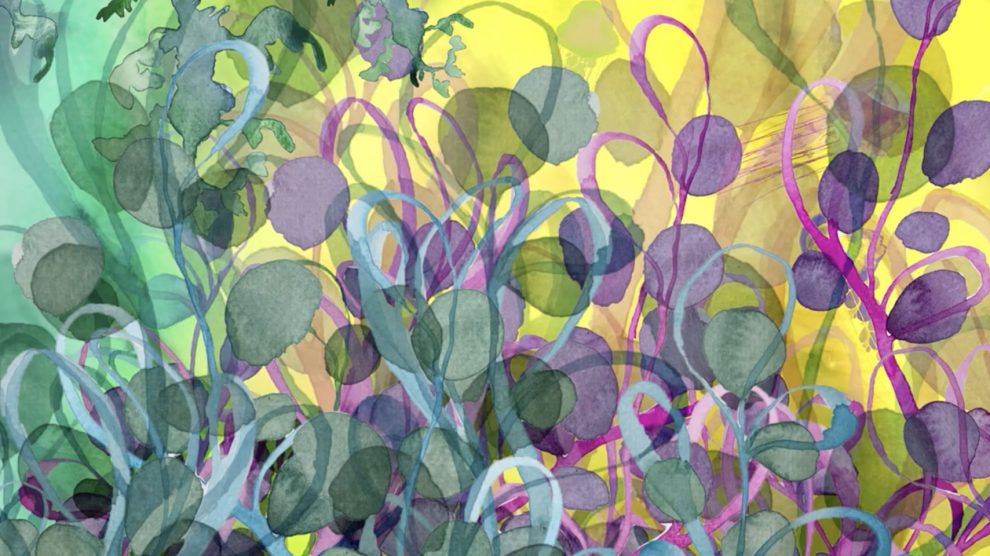 animation_for_health_02