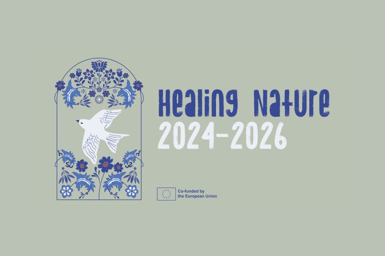 healing_nature