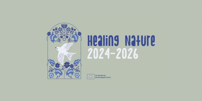 healing_nature